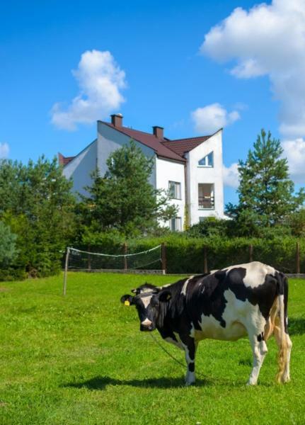 Gospodarstwo Agroturystyczne Jacwing Villa Giby Eksteriør bilde